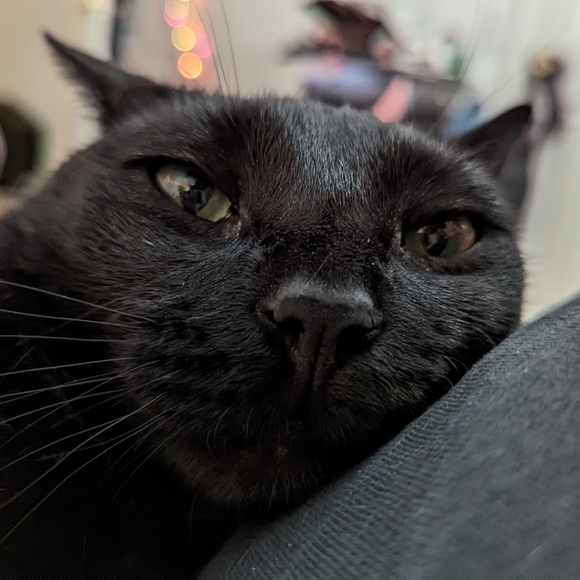 Meet your Posher, Alex - Picture 3 of 3